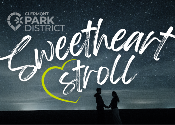 sweetheart stroll, a starry night sky with a couple in silhouette